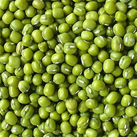 Green Gram