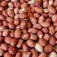Roasted Peanut