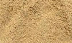 Rice Bran