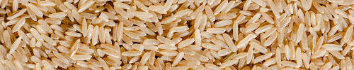 Rice and Paddy