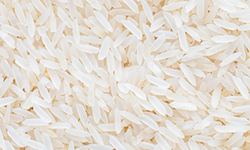 Head Rice