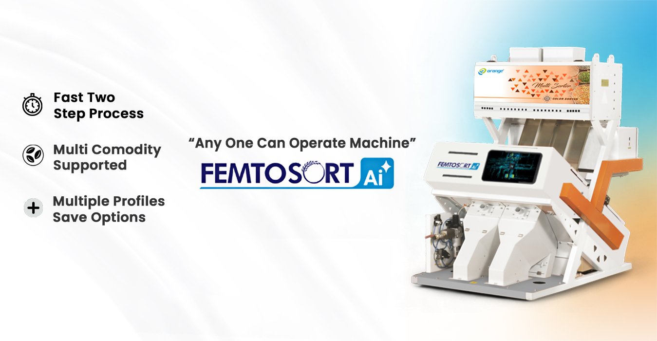 Femtosort AI