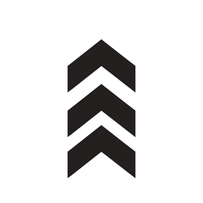 Back Icon